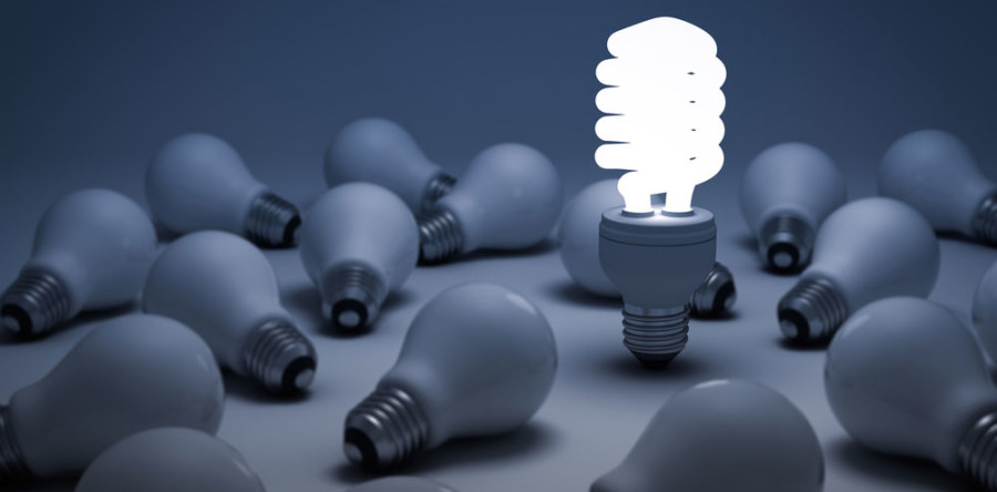 Compact Fluorescent Light Bulbs (CFLs)