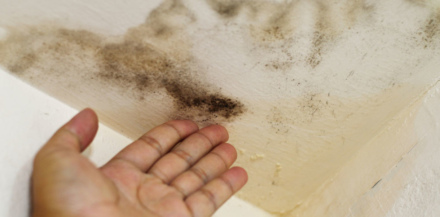 Insurance Inspections